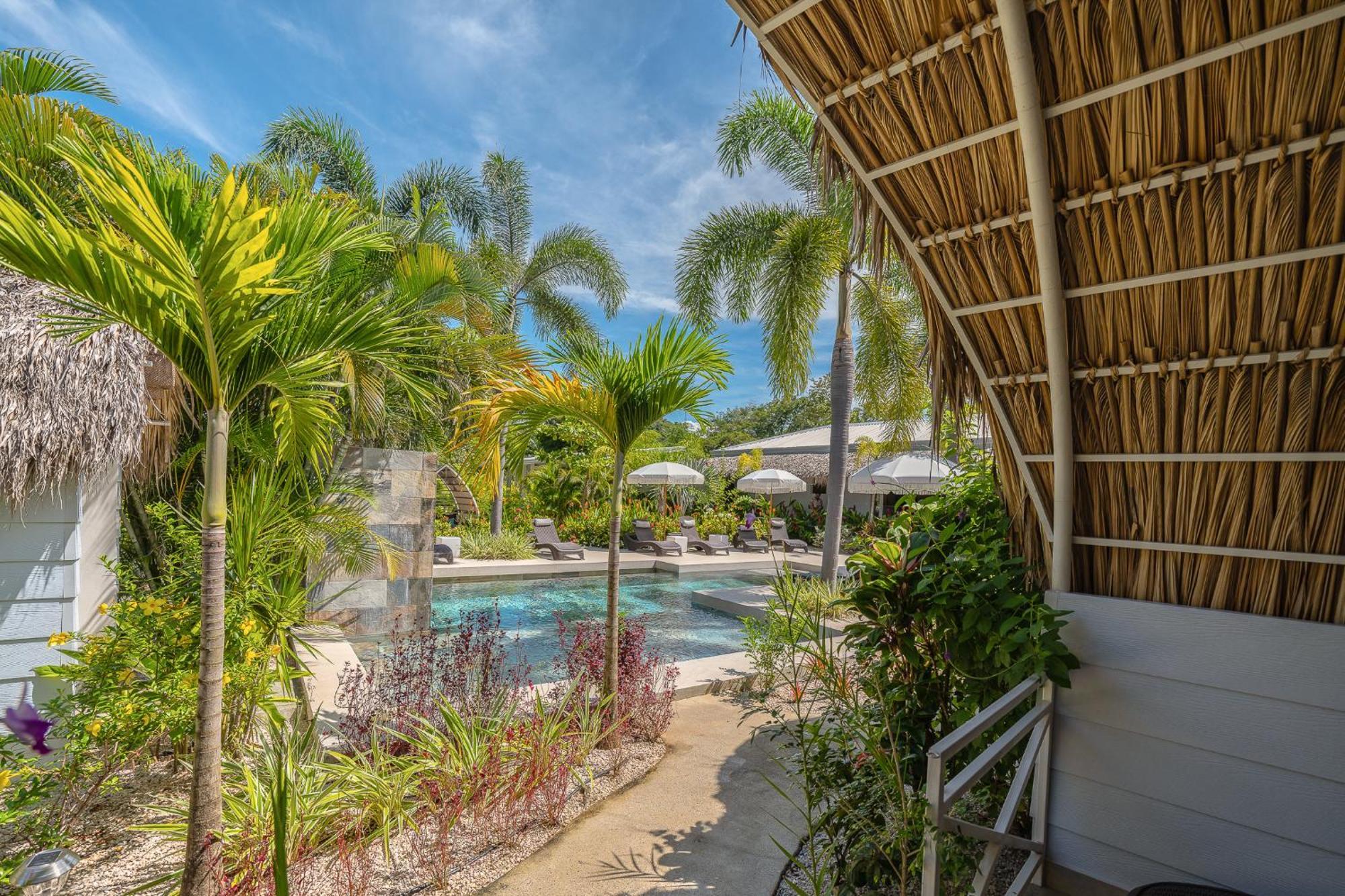 Les Voiles Blanches - Luxury Lodge Tamarindo Quarto foto